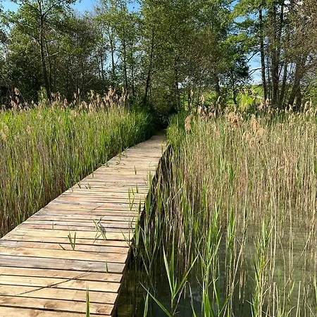 Apartman Am Mattsee *