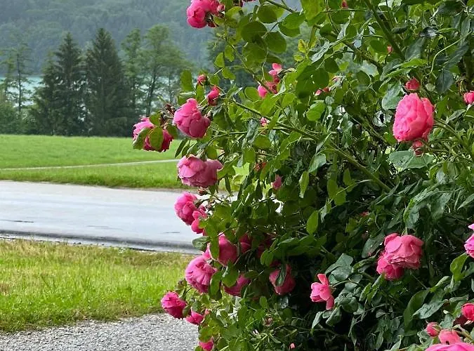 Am Mattsee アパート