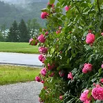 Am Mattsee Apartment