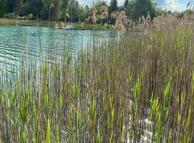 Am Mattsee Διαμέρισμα